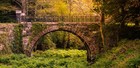Classic River Cruise – Ireland